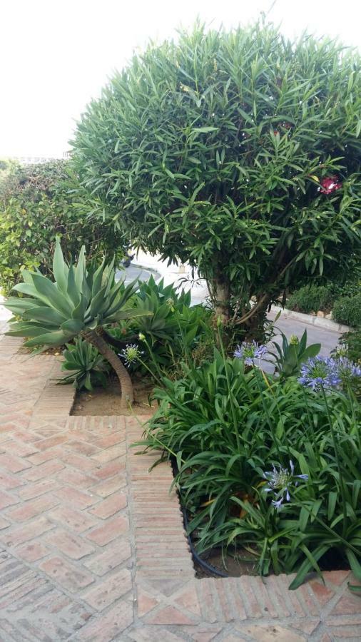 Pinar De Montemar Apartment